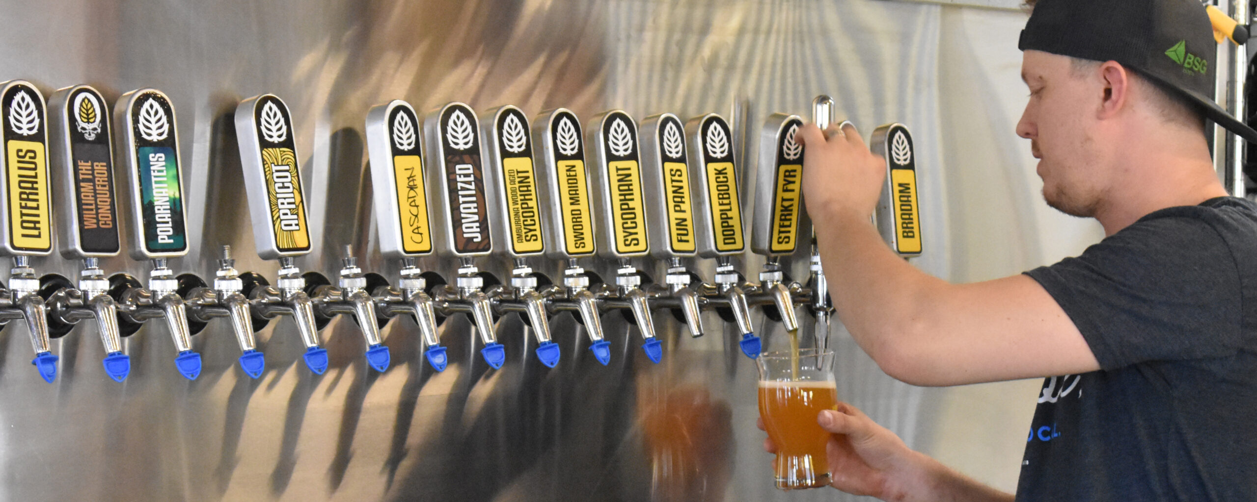 Brewing a sustainable future Solutions for spent grain Environmental