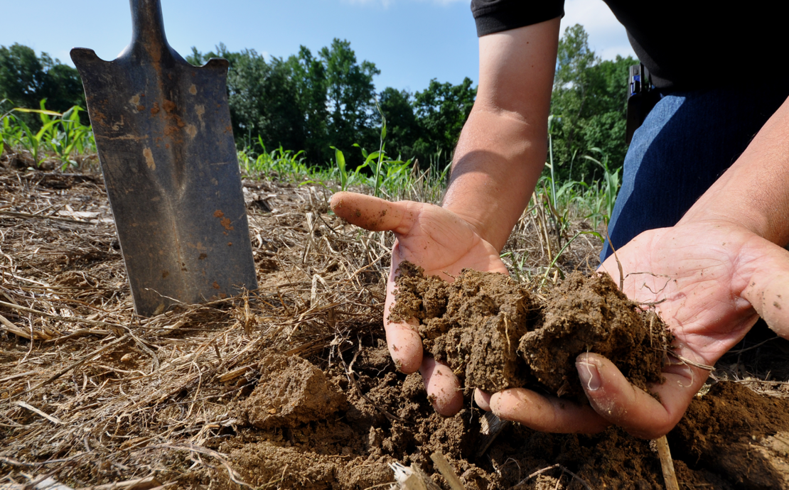 pair of hands holding healthy soil. Farm field is visible in the background.