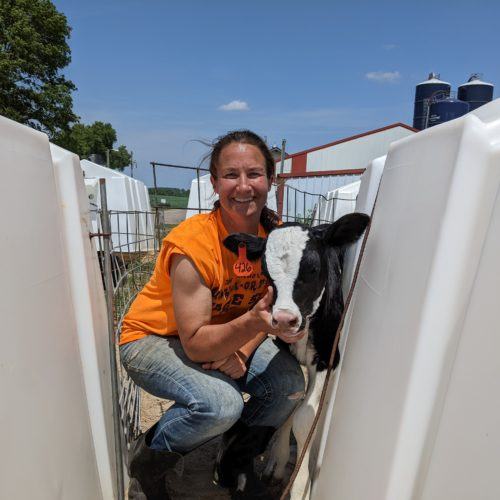 woman kneeling in a chute with a calf on a farm with blue sky in the background