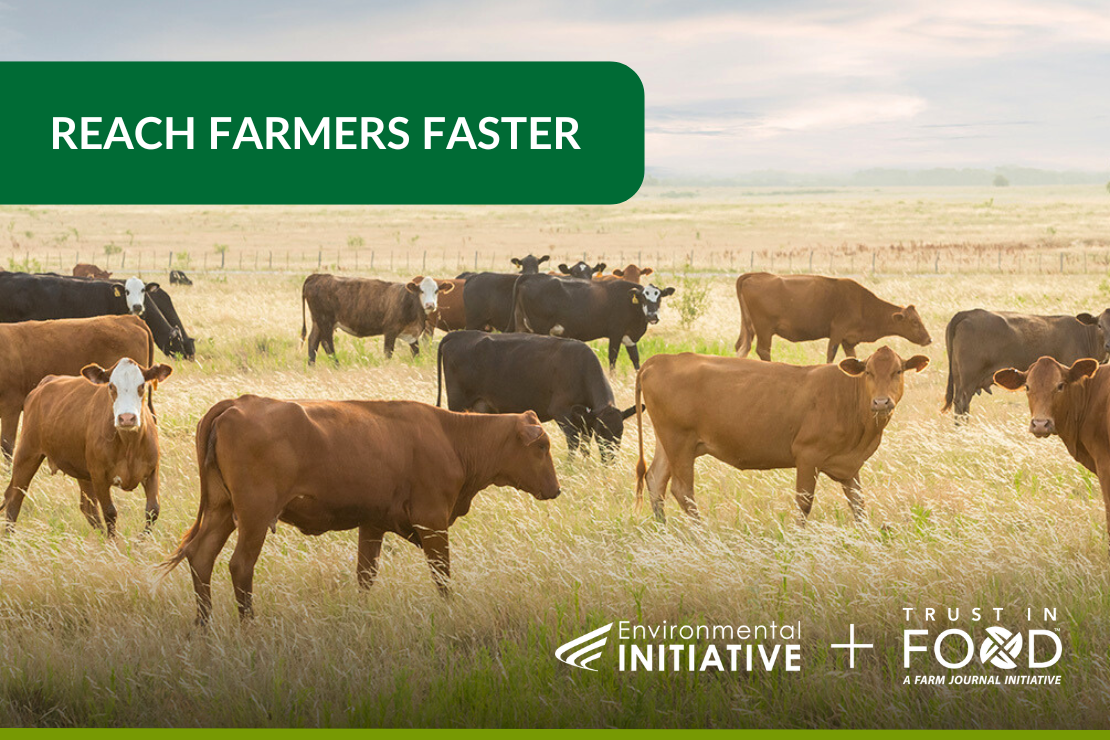 A herd of cattle grazes in an open field with a green banner above that reads 